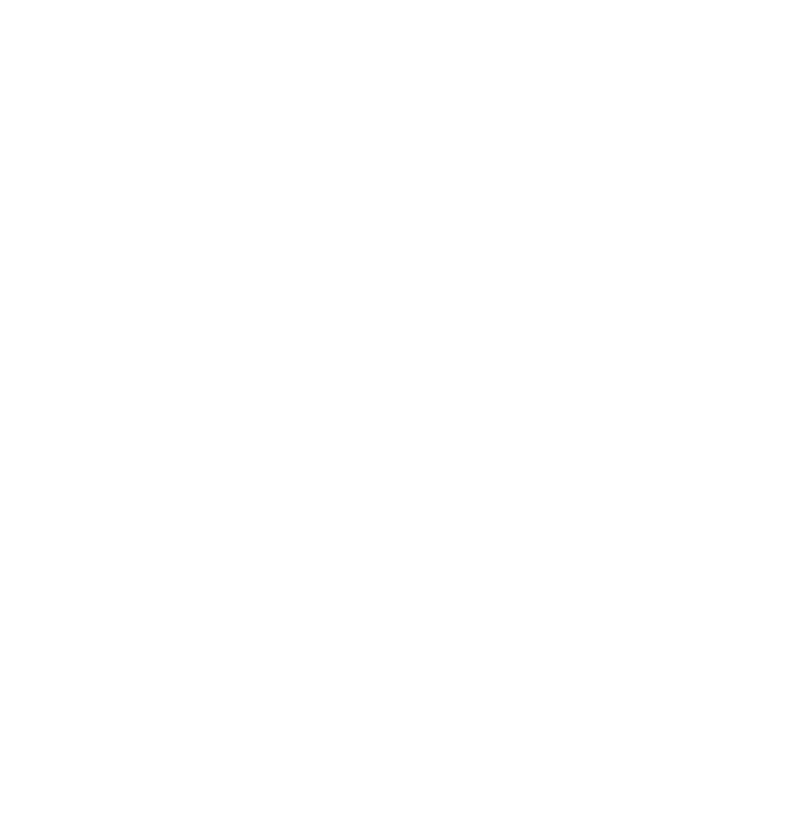 BEE verification documentation